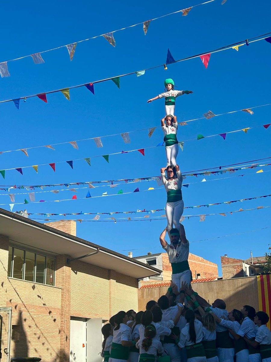 Falcons Vilafranca tweet media