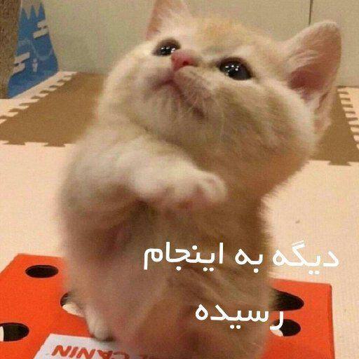 وقتی دو دیقه دیر جوابشو میدم :|