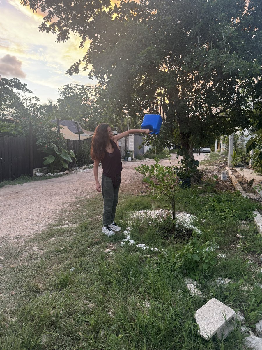 ReFi Tulum 🟢 tweet media