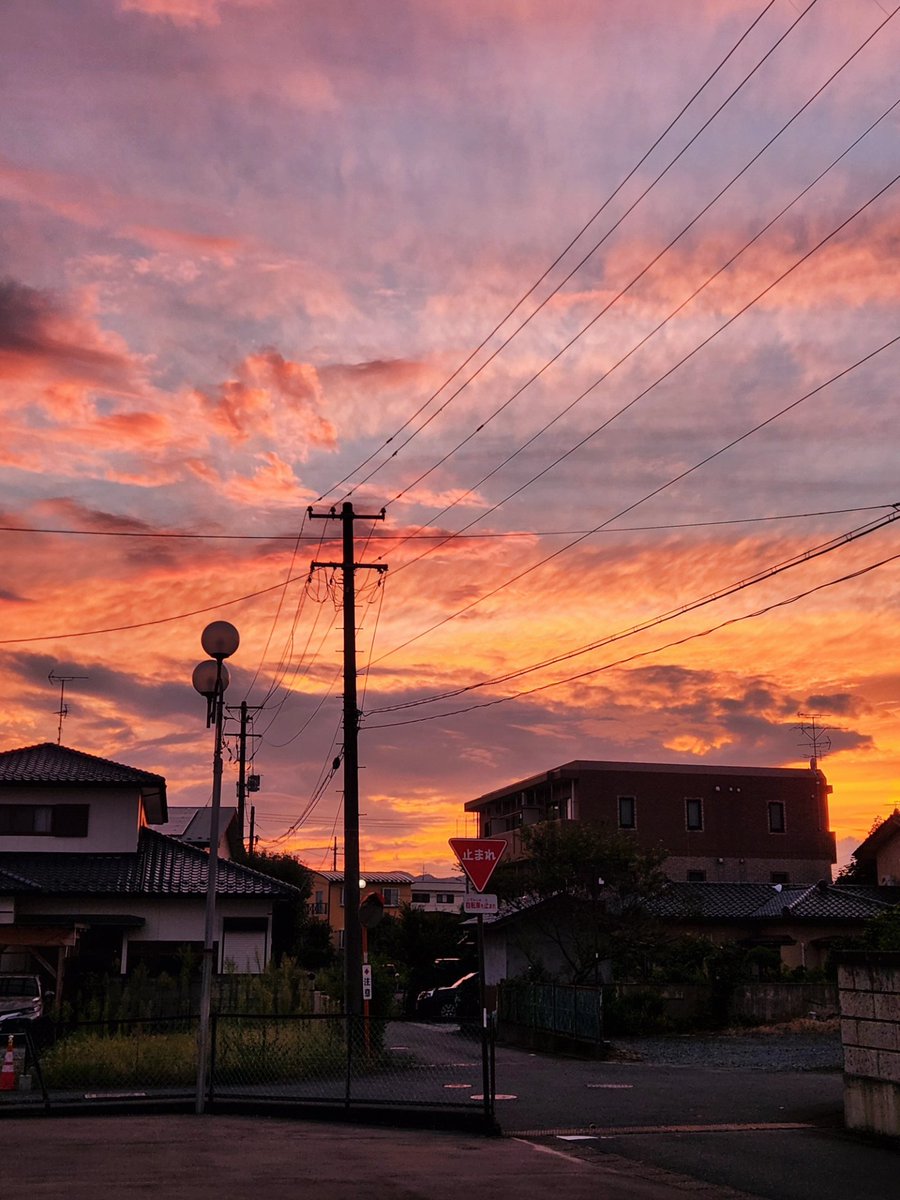 昨日みた夕焼け👀