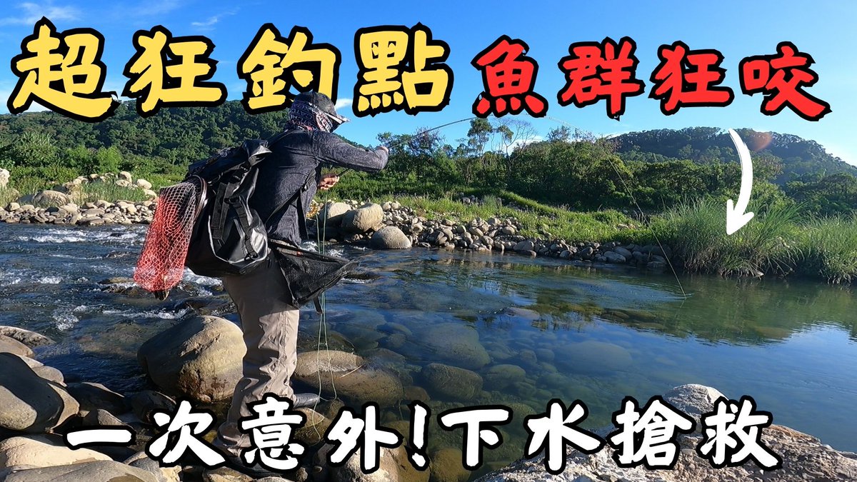 YANG_FlyFishing's tweet photo. 【超狂釣點】魚群瘋狂大咬!拉到手軟!但....「一場意外」,逼我直接下水搶救??
#影片連結在留言區
#Maxcatch
#YongYue溯溪鞋
#自然之筆玩飛釣
#飛蠅釣
#flyfishing https://t.co/VPt8DHRJVq