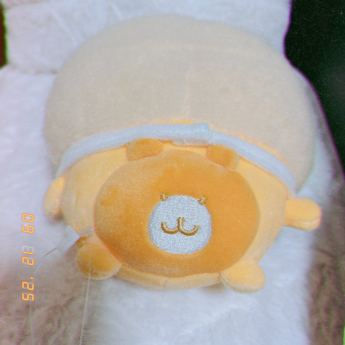 届いたー( ˶ ᷇ 𖥦 ᷆ ˵ )お尻可愛すぎる🫶