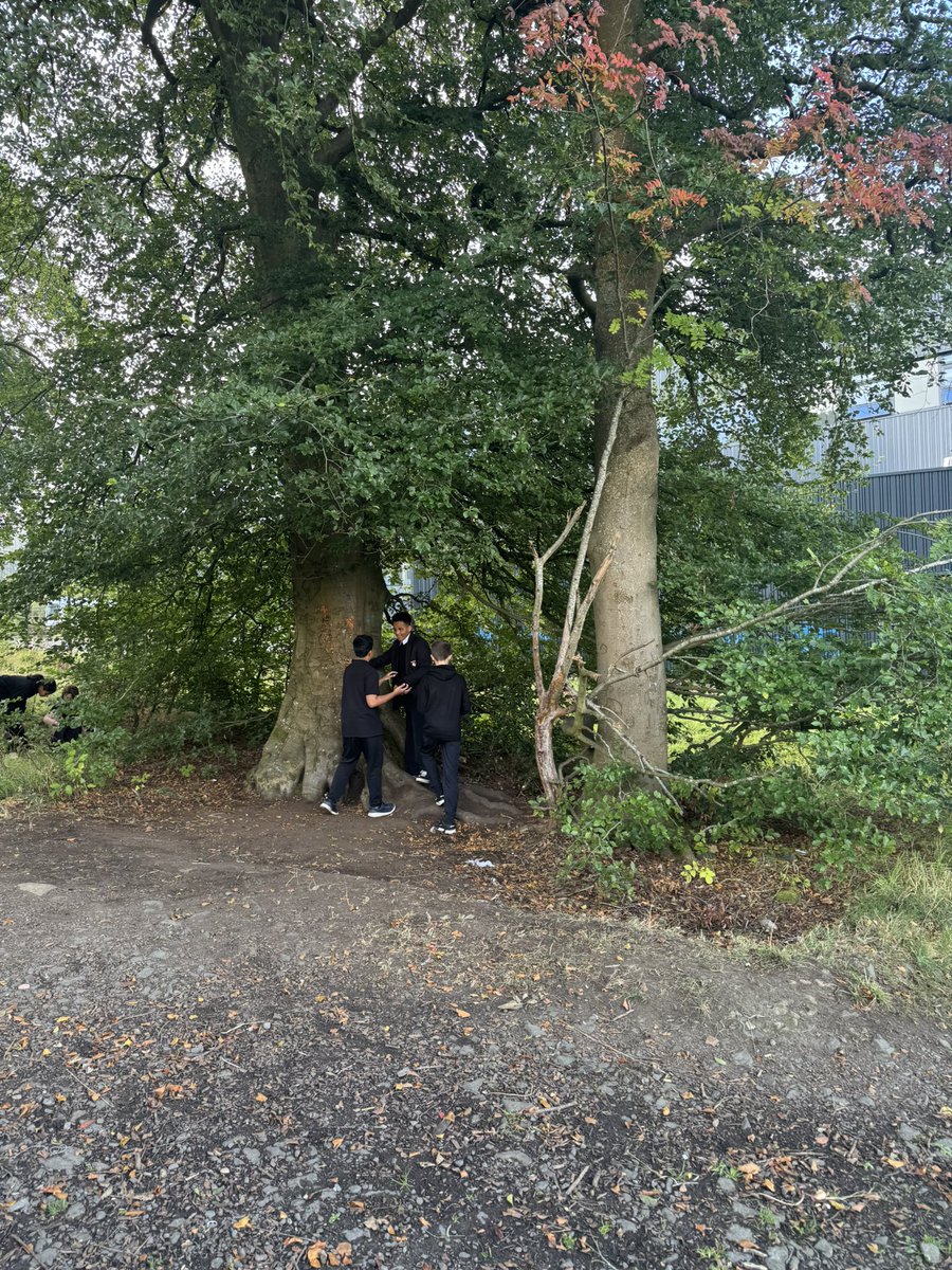 WCHSCreative tweet media