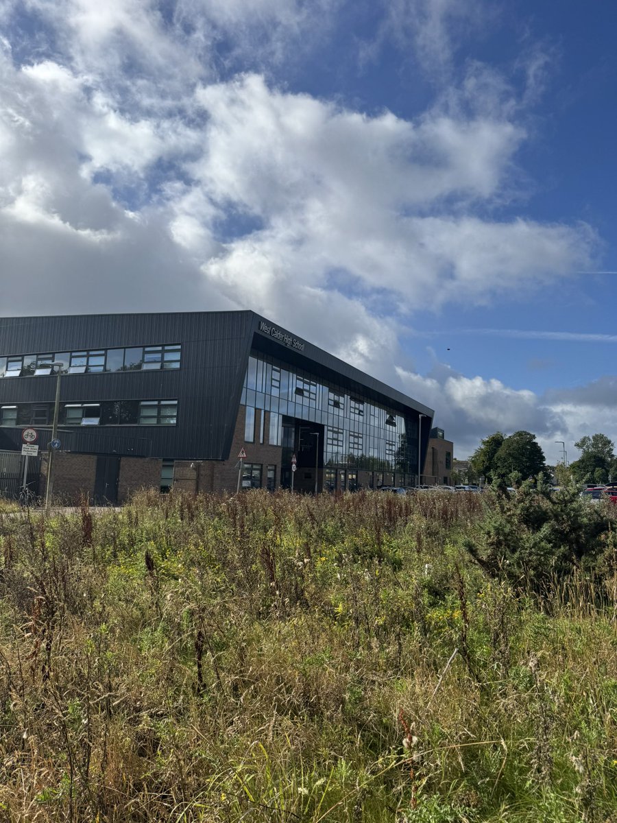 WCHSCreative tweet media