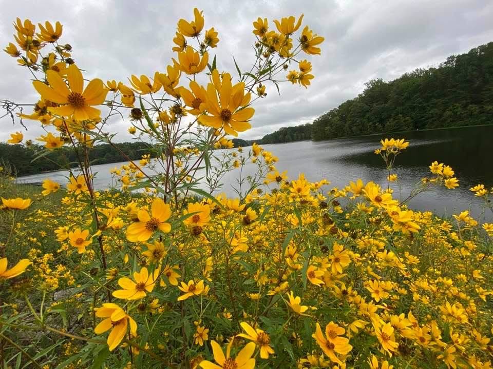 ጌታነህኽኀሕ ካሣሁን tweet media