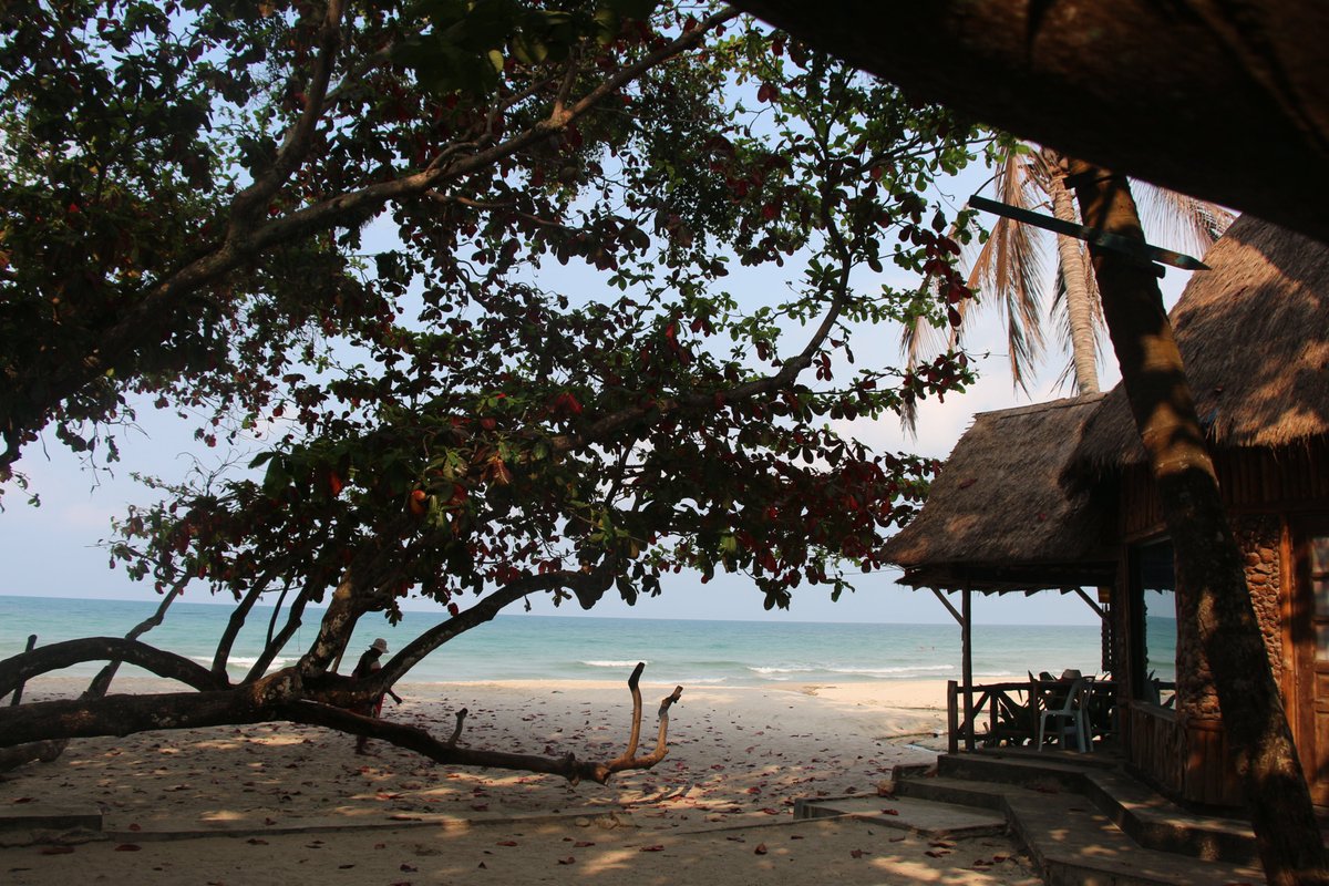 Can i get gMonad ?💜
<a href="/monad/">Monad ⨀</a>  mainnet is coming soon