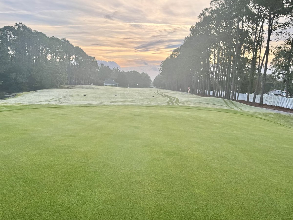 David B Levin tweet media