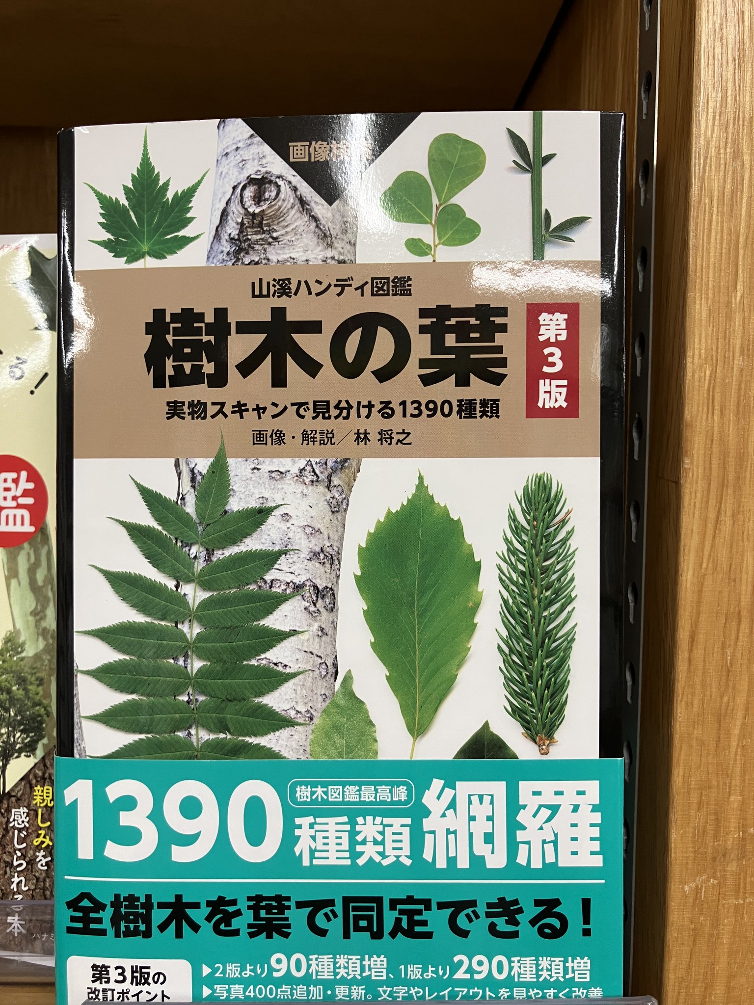増補改訂新版 本の樹木 🎌