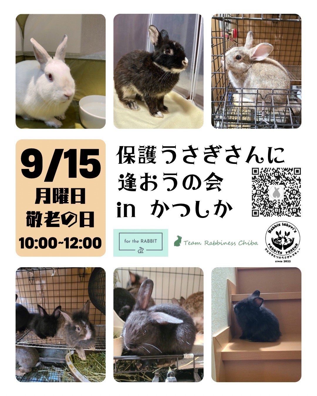 うさぎ様 リクエスト 8点 まとめ商品 うさぎ様専用 リクエスト 8点 まとめ商品