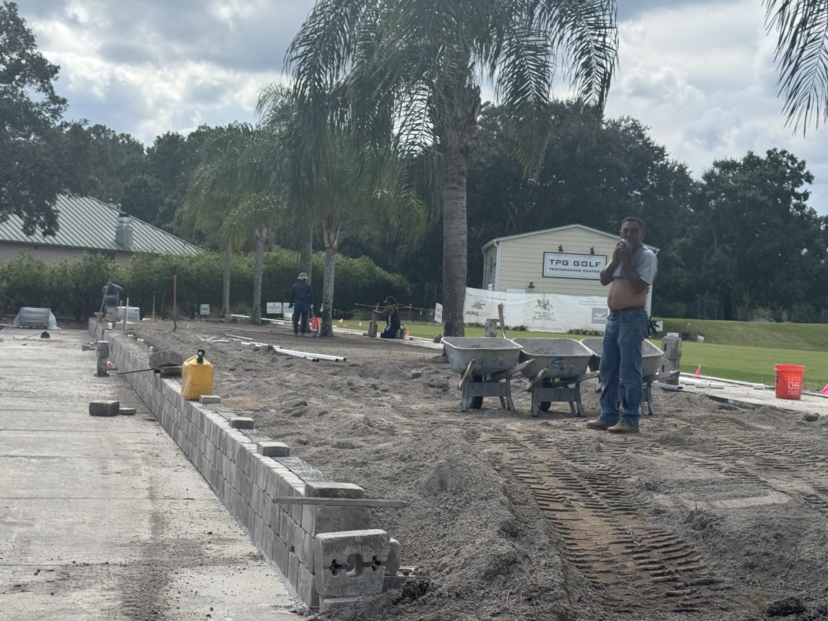 David B Levin tweet media