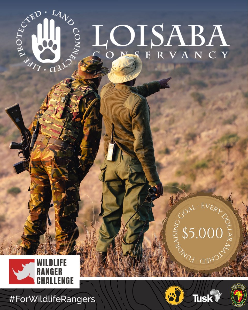 As part of the #WildlifeRangerChallenge, #Loisaba aims to raise $5000 to for our rangers.

Organised by Tusk, the WRC highlights the diverse roles rangers play: from frontline conservation and anti-poaching to supporting communities.
 
🔗 Donate today: wildlife.rangerchallenge.org/campaigns/Lois…