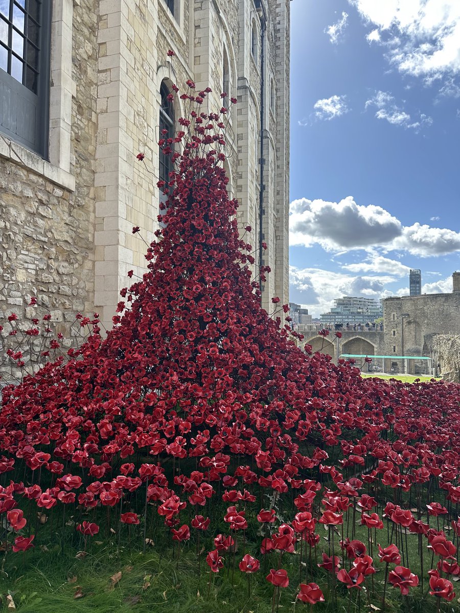 Emily Nickson tweet media