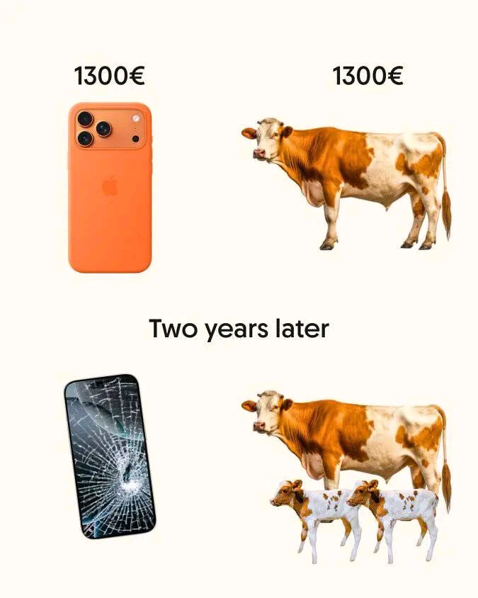 Ednut0017's tweet photo. Use ur head wisely….🤷‍♂️ https://t.co/kuvyE4F2Fl