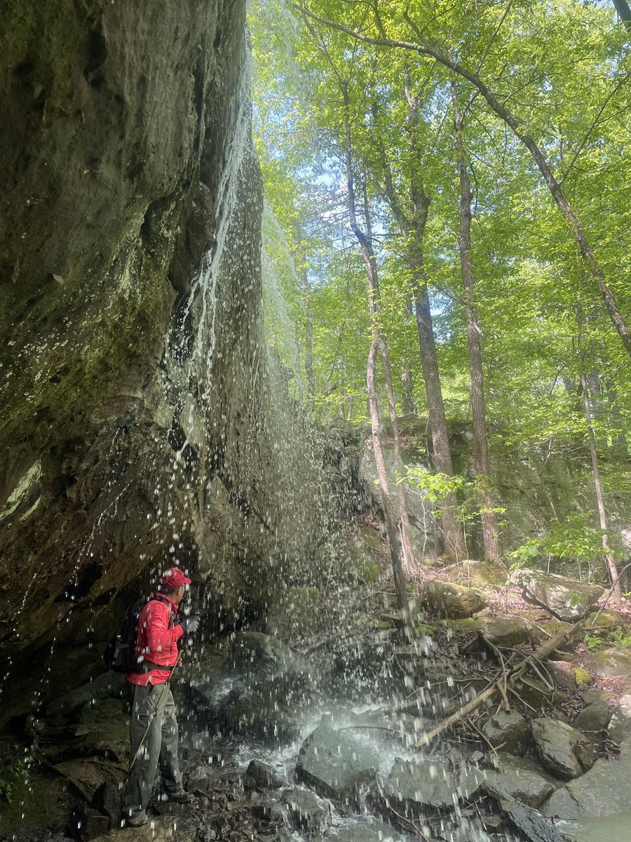 cruzzeroutdoors's tweet image. Nature, peace , beauty , serenity . It is out there, GO. #chasingwaterfalls #discovernature A body in motion stays in motion. Nature’s therapy