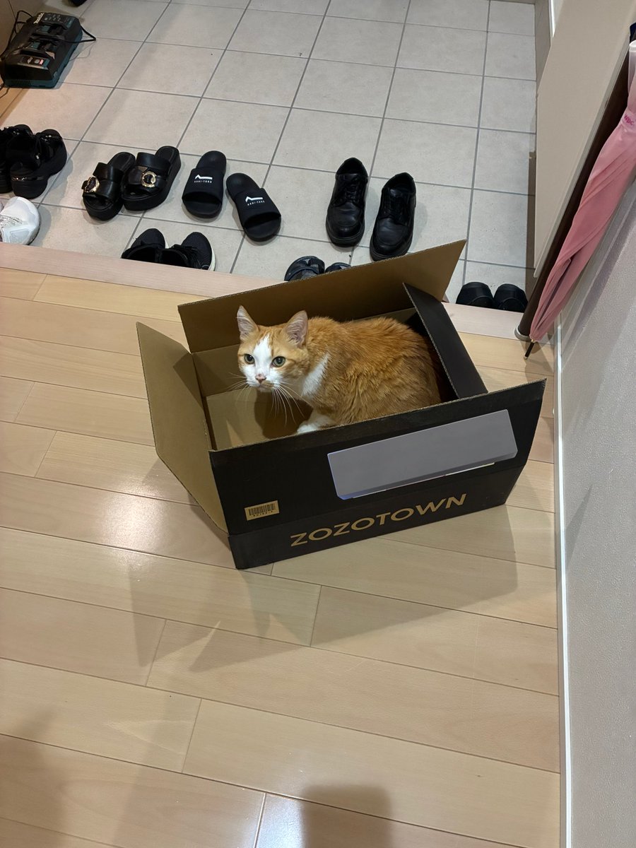 ZOZOTOWN