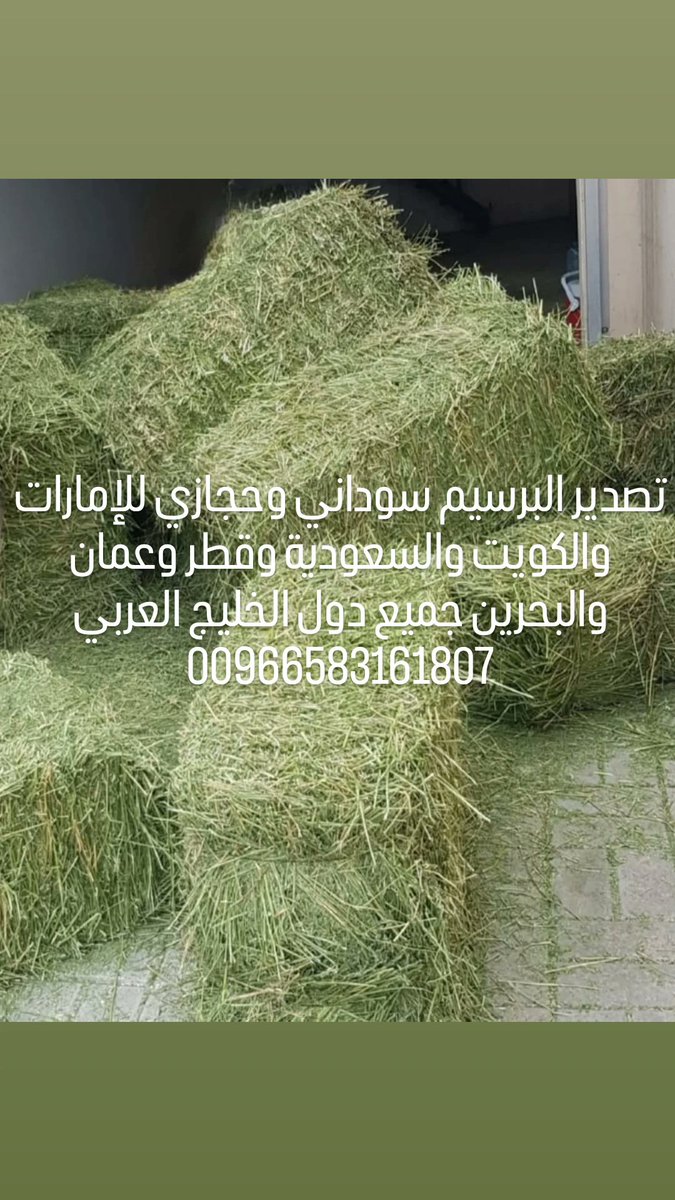 alaaff78's tweet photo. #الدوحة https://t.co/qMdboLJ8td