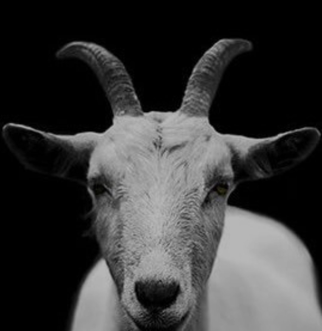 di4thking's tweet photo. @LouieDi13 Make I de with you my GOAT 🫴
@LouieDi13 https://t.co/m36IUZD5M5