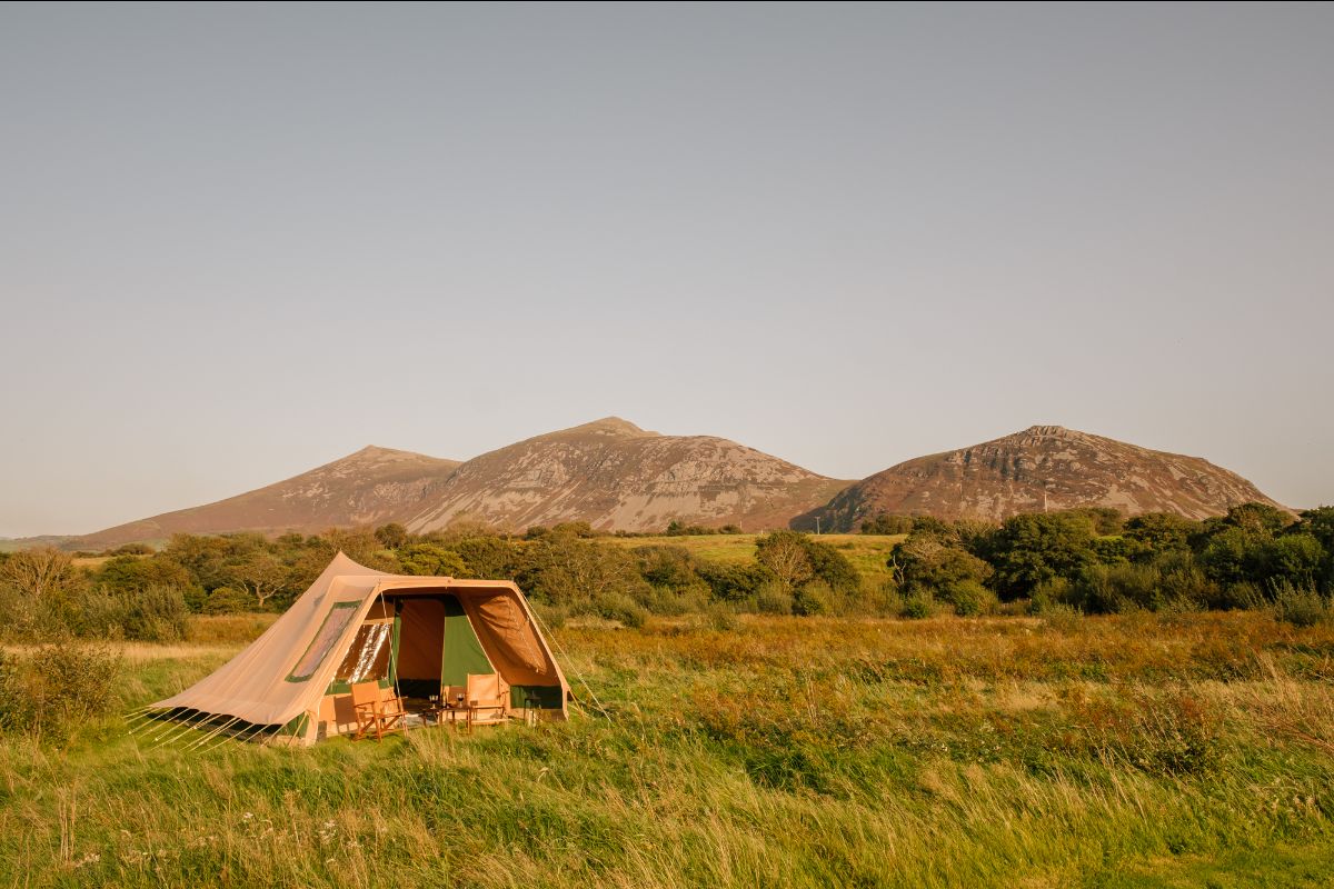 JuliaSpence's tweet image. Hut to Trot - Bert's Kitchen Garden's Off-Season Offer in the North Wales' Campsite's Huts - mailchi.mp/409d491c6cf5/b…