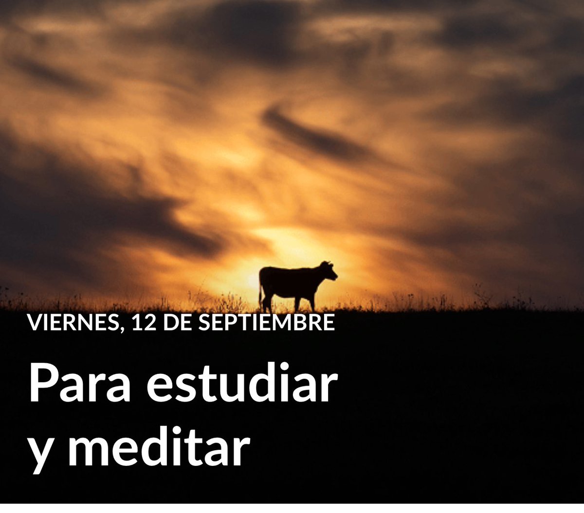 No debemos centrarnos en nosotros mismos y gratificar nuestros deseos personales, porque esto conduce a la idolatría. Por el contrario, nuestra atención debe centrarse en Dios y en su poder. Él da la fuerza que conduce a una vida nueva y victoriosa (Fil. 4: 13). #LESAdv