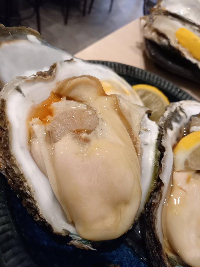 生牡蠣_mania 生牡蠣_mania Oyster Mania 〜Japanese Kaki Bar