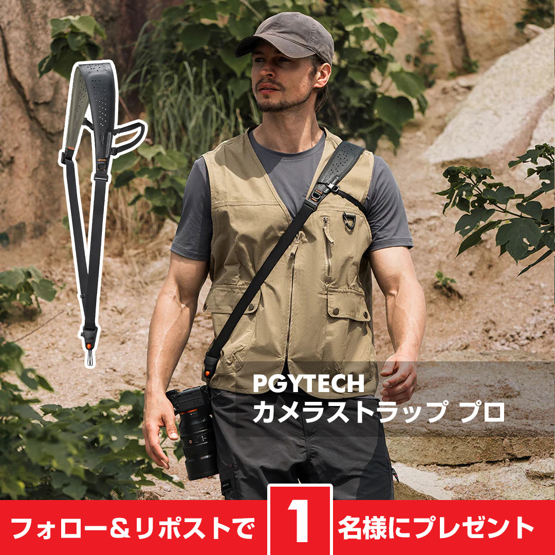 ／
PGYTECHからクイックリリース対応の
カメラストラップが登場❗️
＼

クロスボディと片肩がけ両方に対応🎵

街中はもちろん登山やハイキングなど
アウトドア撮影におすすめ👍

PGYTECH カメラストラップ プロを
1⃣名様にプレゼント🎁
➡️yodobashi.com/product/100000…

👉フォロー＆リポスト
👉9/18まで