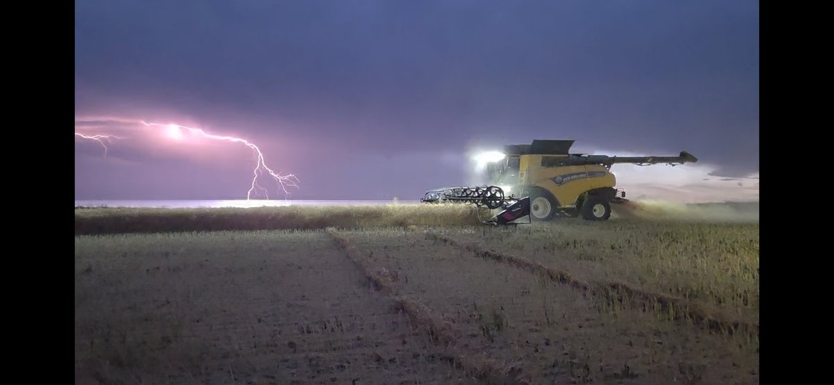 vassen27's tweet photo. Caught some pretty cool pics last night while cutting canola #harvest25 #newholland https://t.co/aCBBd0Z0Vf