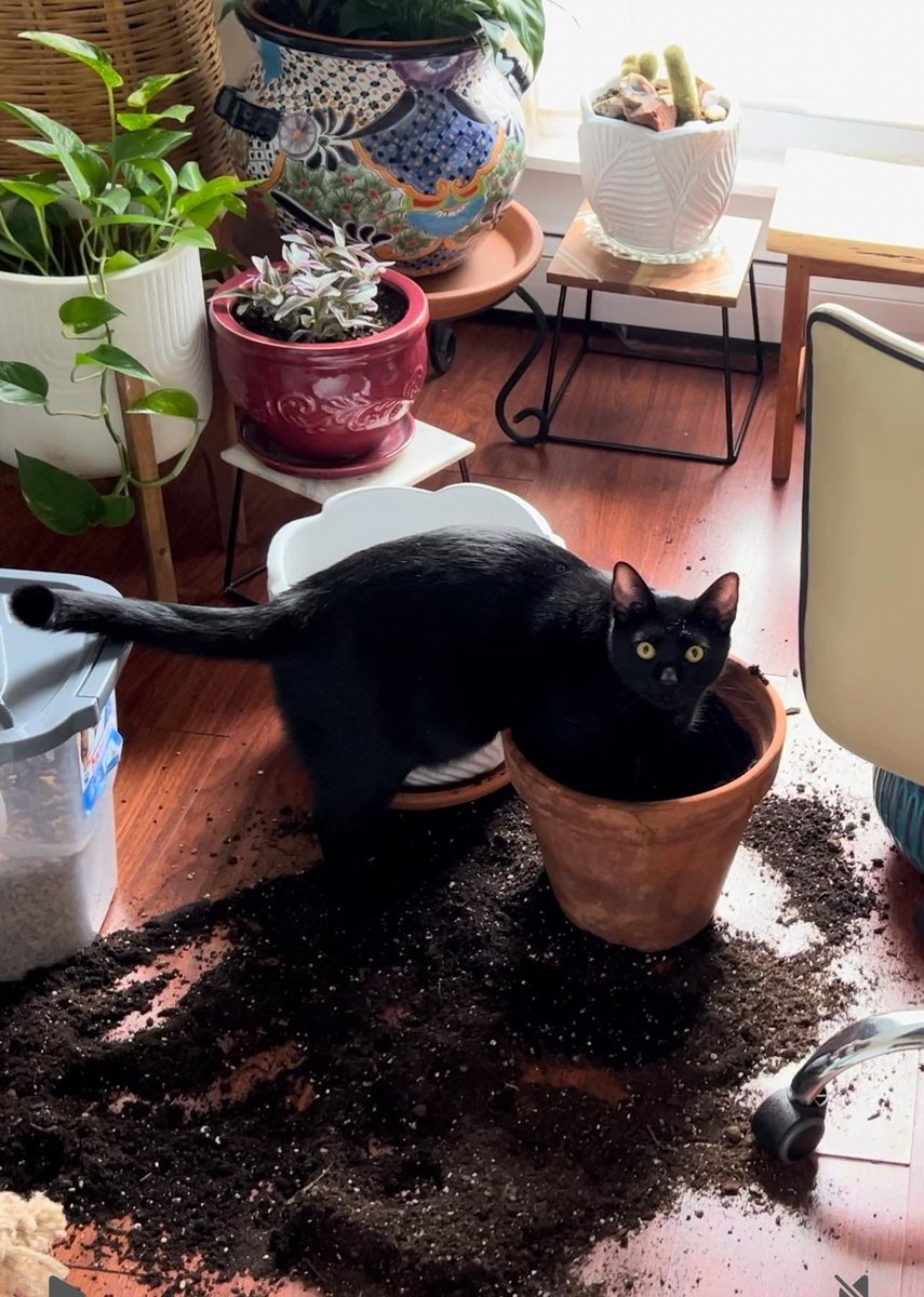 Expert Gardener. 

📸 Yadi Lash