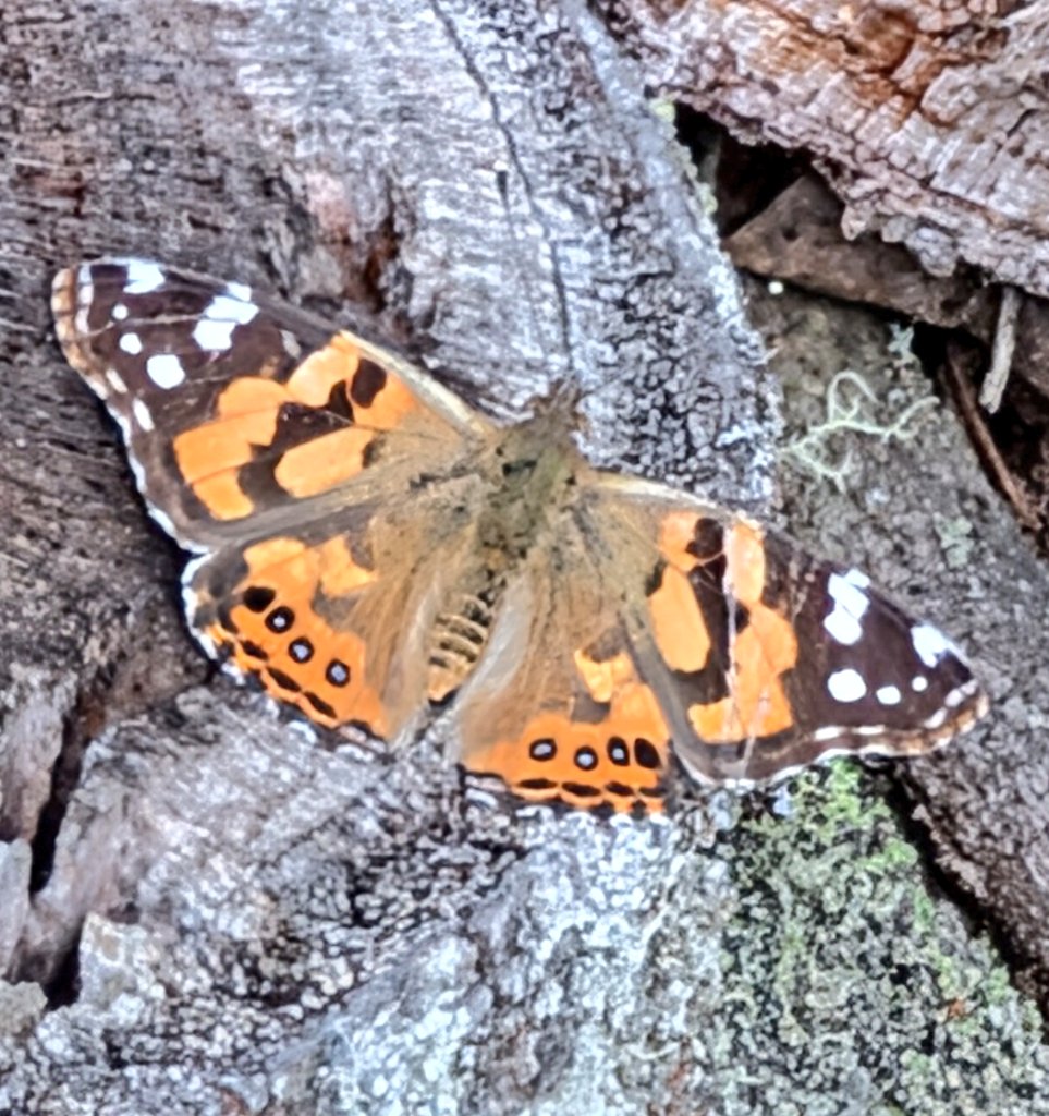 John Cooper tweet media