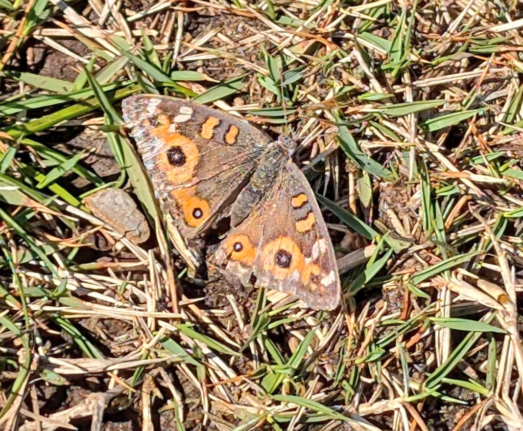 John Cooper tweet media