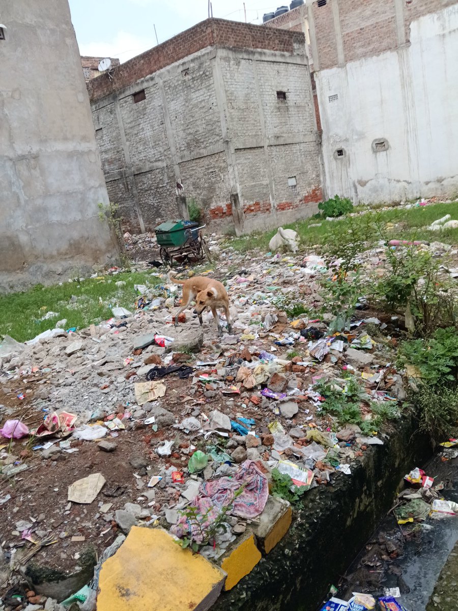 उपरोक्त मामले में नगर निगम भोपाल <a href="/BMCBhopal/">Bhopal Municipal Corporation</a> कुंभकरण की नींद सोया हुआ हैं, 17 दिन अधिक होने पर भी साफ सफाई नहीं हुई है उक्त खाली प्लॉट में पानी भरा है मच्छरों से डेंगू मलेरिया जैसी गंभीर बीमारियों बढ़ रही हैं <a href="/MoHUA_India/">Ministry of Housing and Urban Affairs</a> <a href="/MALTIRAIBJP/">MALTI RAI</a> <a href="/KailashOnline/">Kailash Vijayvargiya</a> <a href="/VishvasSarang/">विश्वास कैलाश सारंग</a> <a href="/DainikBhaskar/">Dainik Bhaskar</a>