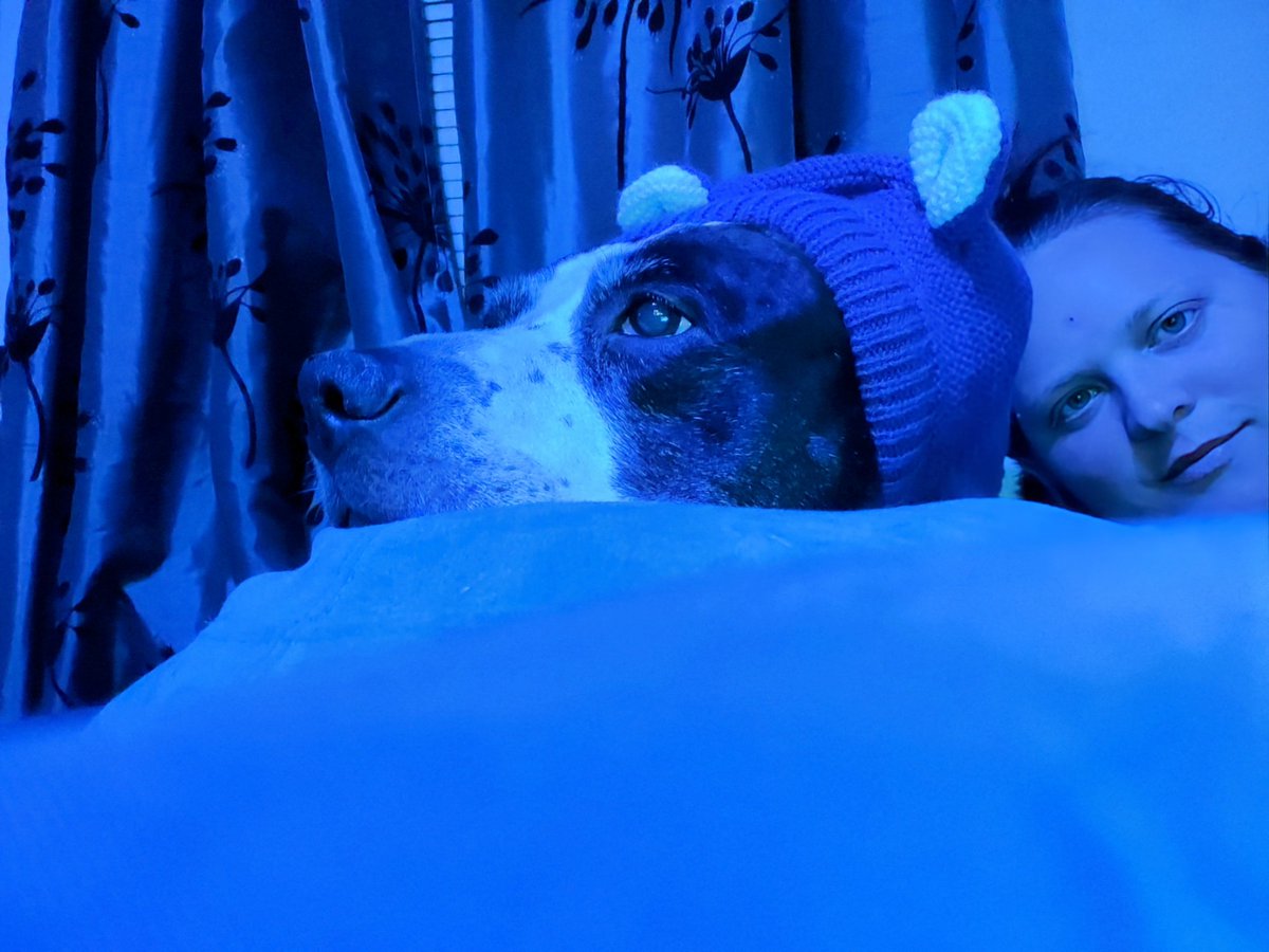 Avenidaloop's tweet photo. @PuppiesIover Scared in a thunderstorm https://t.co/RNUgovmmPT