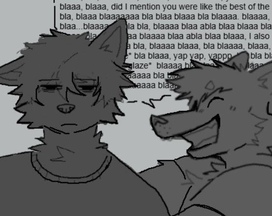 yapyap yap yap yapp...