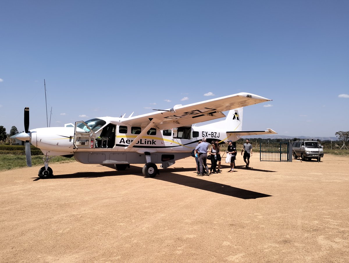 AerolinkUganda's tweet image. Less road, more gorillas.

Our flights save you a full day of driving. 
Your unforgettable trek starts sooner with #Aerolink.

#FlySafari #VisitUganda #TravelHack