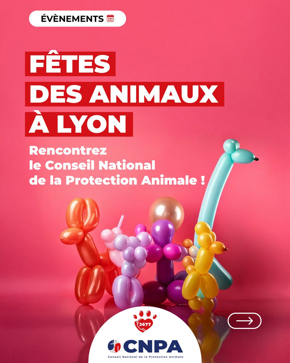 📢 𝗘́𝗩𝗘̀𝗡𝗘𝗠𝗘𝗡𝗧𝗦 – 𝗥𝗲𝗻𝗰𝗼𝗻𝘁𝗿𝗲𝘇 𝗹𝗲 𝗖𝗡𝗣𝗔 🐾

<a href="/LeCNPA/">Conseil National de la Protection Animale</a> (créateur du 3677) sera présent en région lyonnaise 💛

Animations, stands et rencontres pour échanger autour de la protection animale et mieux faire connaître le 3677 SOS Maltraitance Animale 🐶🐱🐰