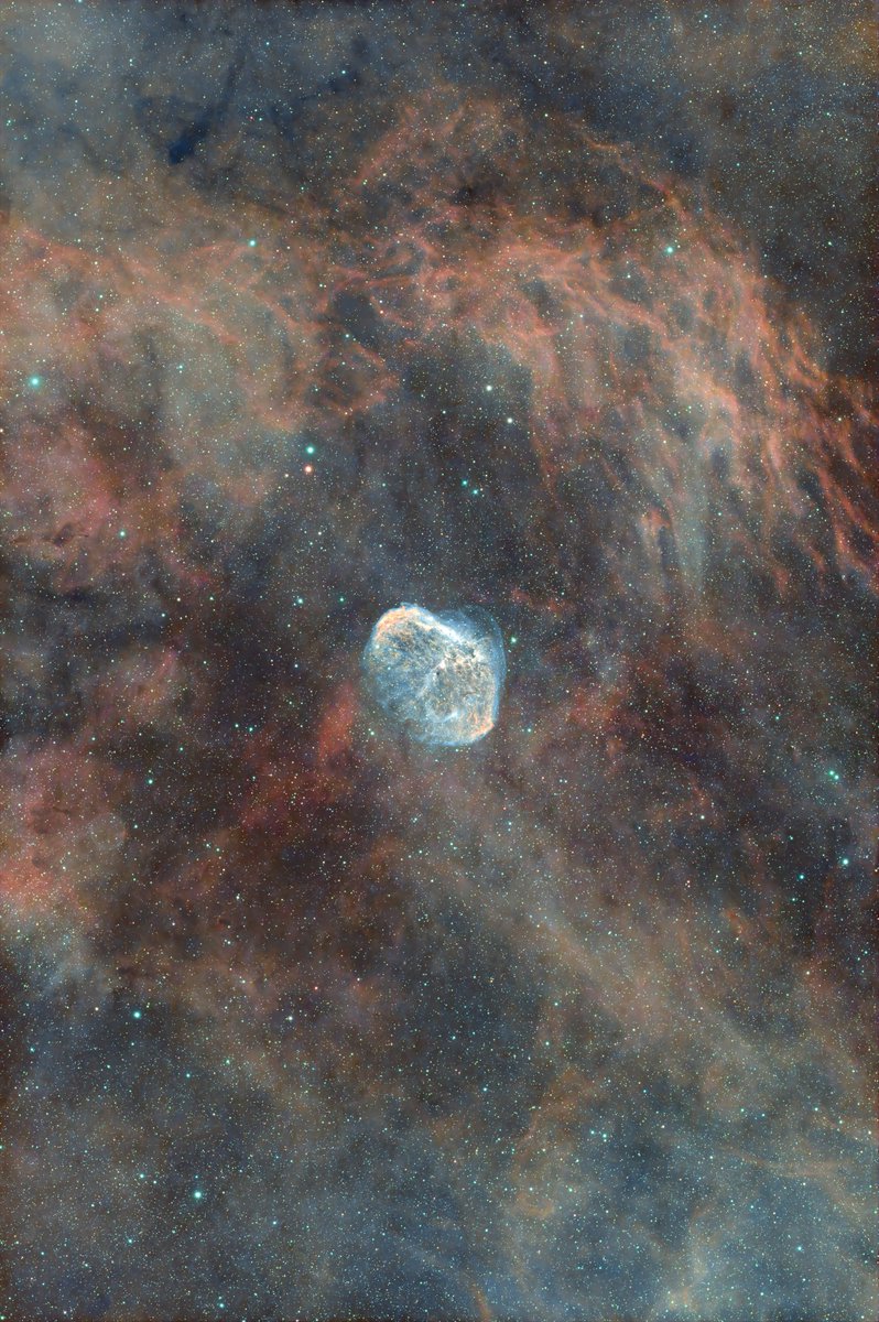 【東雲さま　専用です】 今週末 2025年9月13日（土）、14日(日)に 富士スピードウェイで