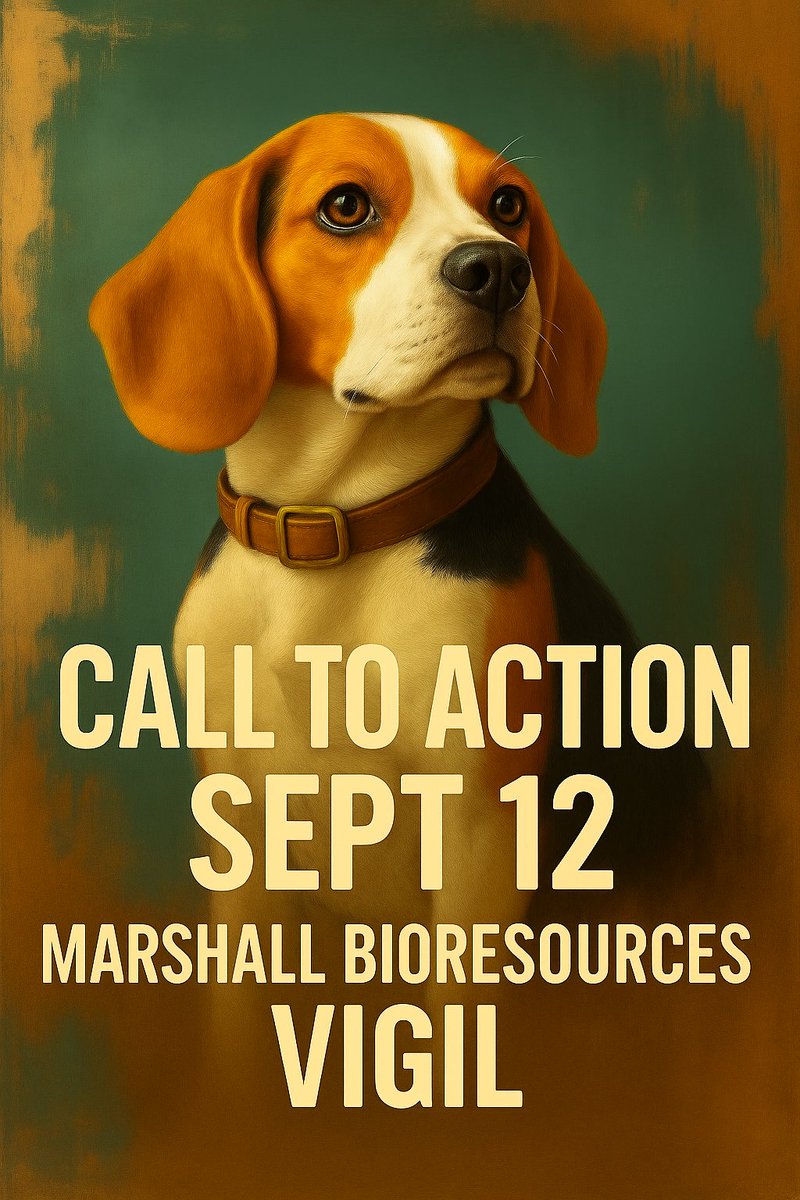 Dear X Family, PLEASE SHARE. We are at Marshall BioResources today! This is how you can help the beagles trapped inside.

Ask these stations to cover our vigil!

Call-In-Script

“Hello, I’m calling to urge your station to cover the Vigil today at Marshall BioResources in North