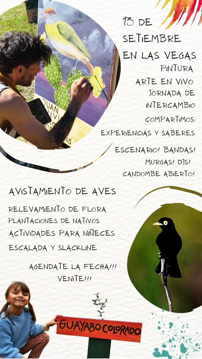🦉Llega a #LasVegas la segunda edición del encuentro de artistas: Cultivá.
Participan más de 47 artistas de todo el país, con 100 obras inspiradas en aves y otras faunas.
🗓Sábado 13, desde las 9 hs.
📍Sendero Educativo Ambiental y Cultural Ñacurutú, Ruta Interbalnearia Km 52