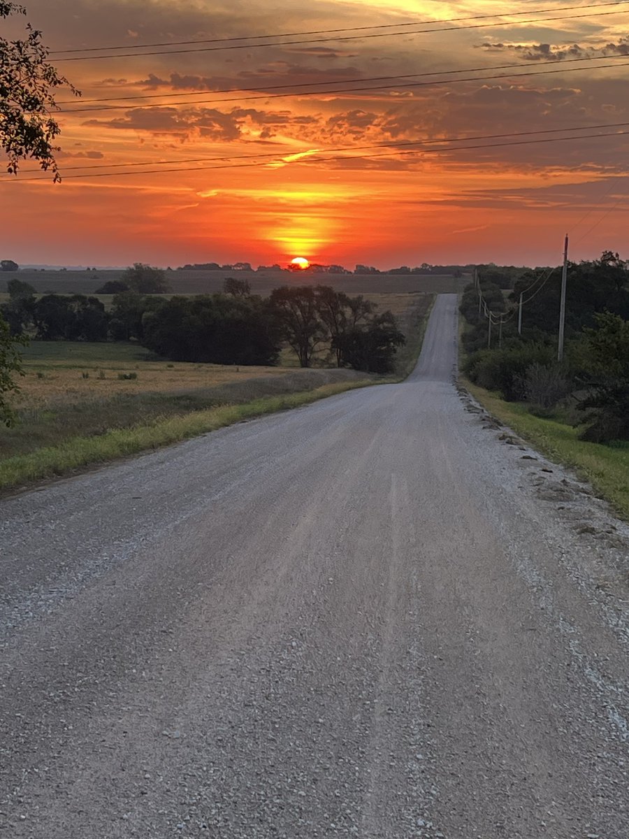 Rhonda Revelle tweet media