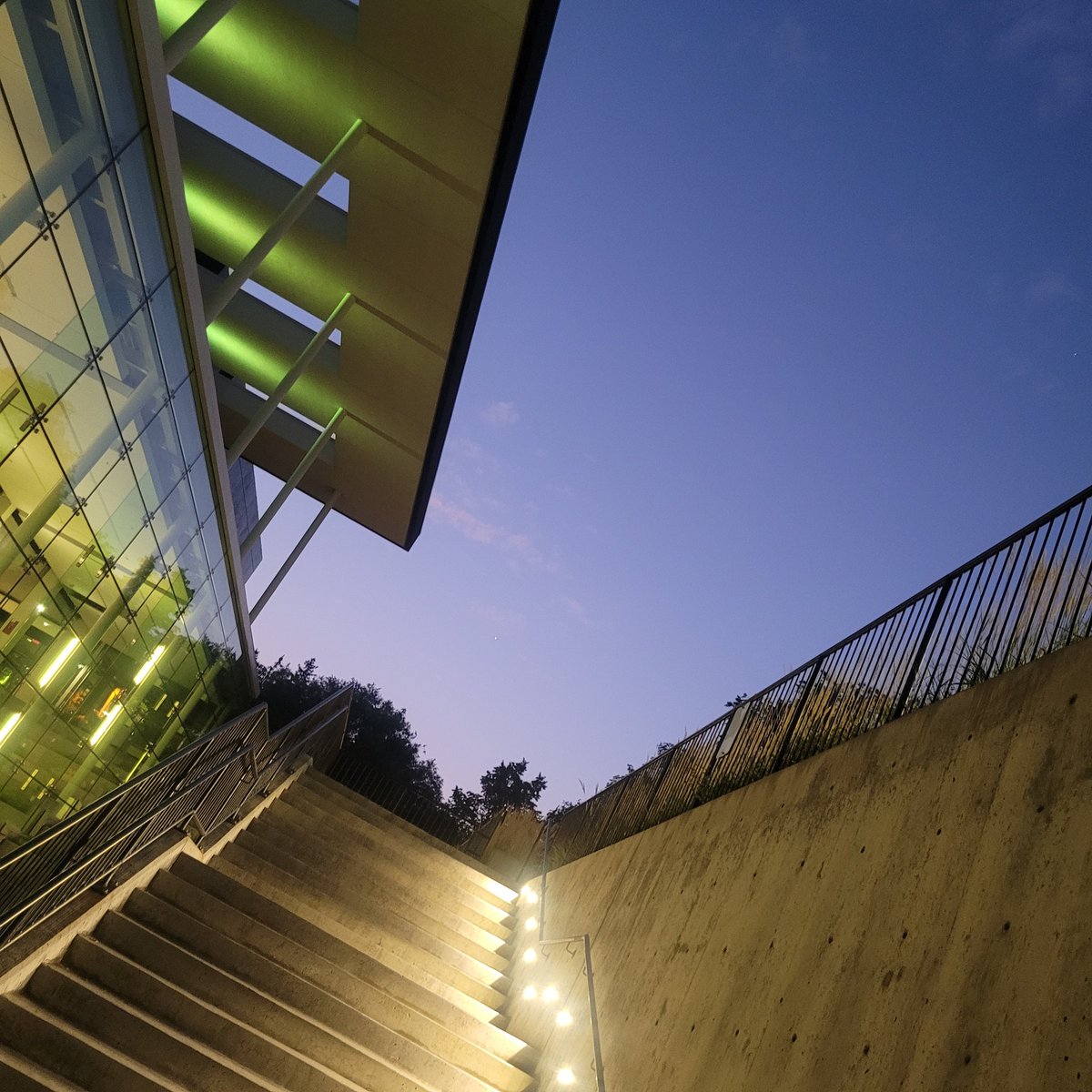 Mark H. Rodgers tweet media