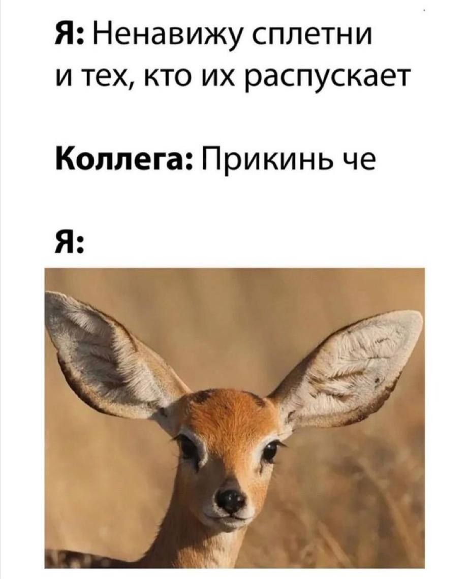 Да, я 

Канал с мемами: t.me/memes_pives