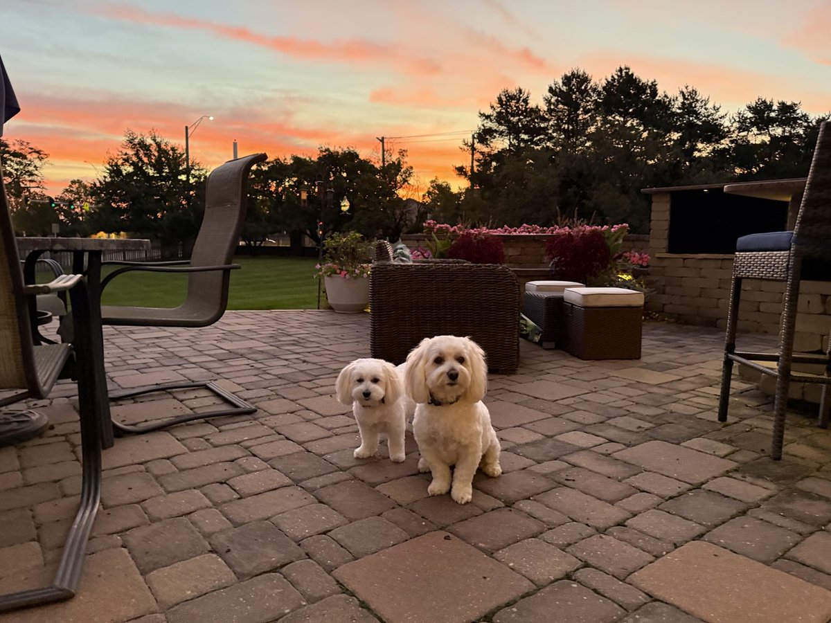 imzozoonthegogo's tweet image. We hope we can be your sunshine on a cloudy day #timelinecleanse