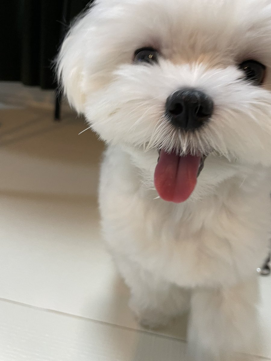 おやつもらえてニコニコ☺️