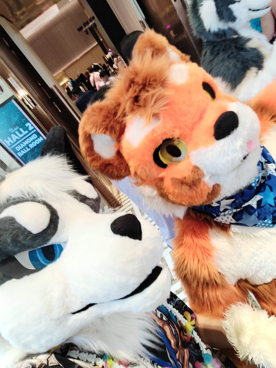 Happy Friday 😊😁 
#FursuitFriday #fursuit #fursuiter #furrycommunity #furry 
With <a href="/Chrisyang1155/">提格Tigger</a>