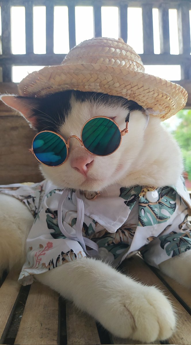 Auranya 🔥🔥🔥