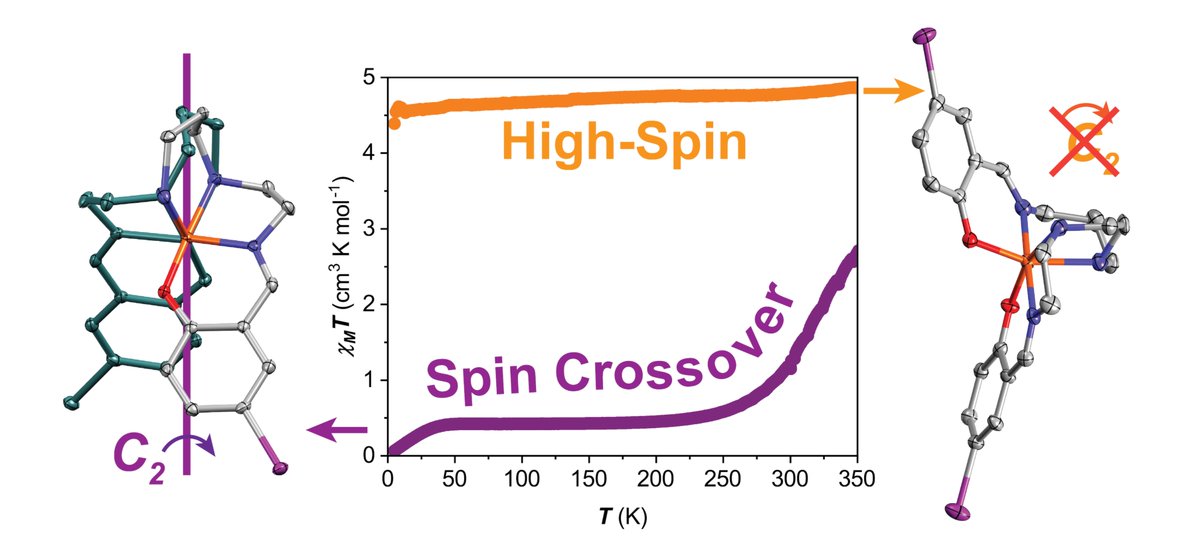 Morgan Group UCD tweet media