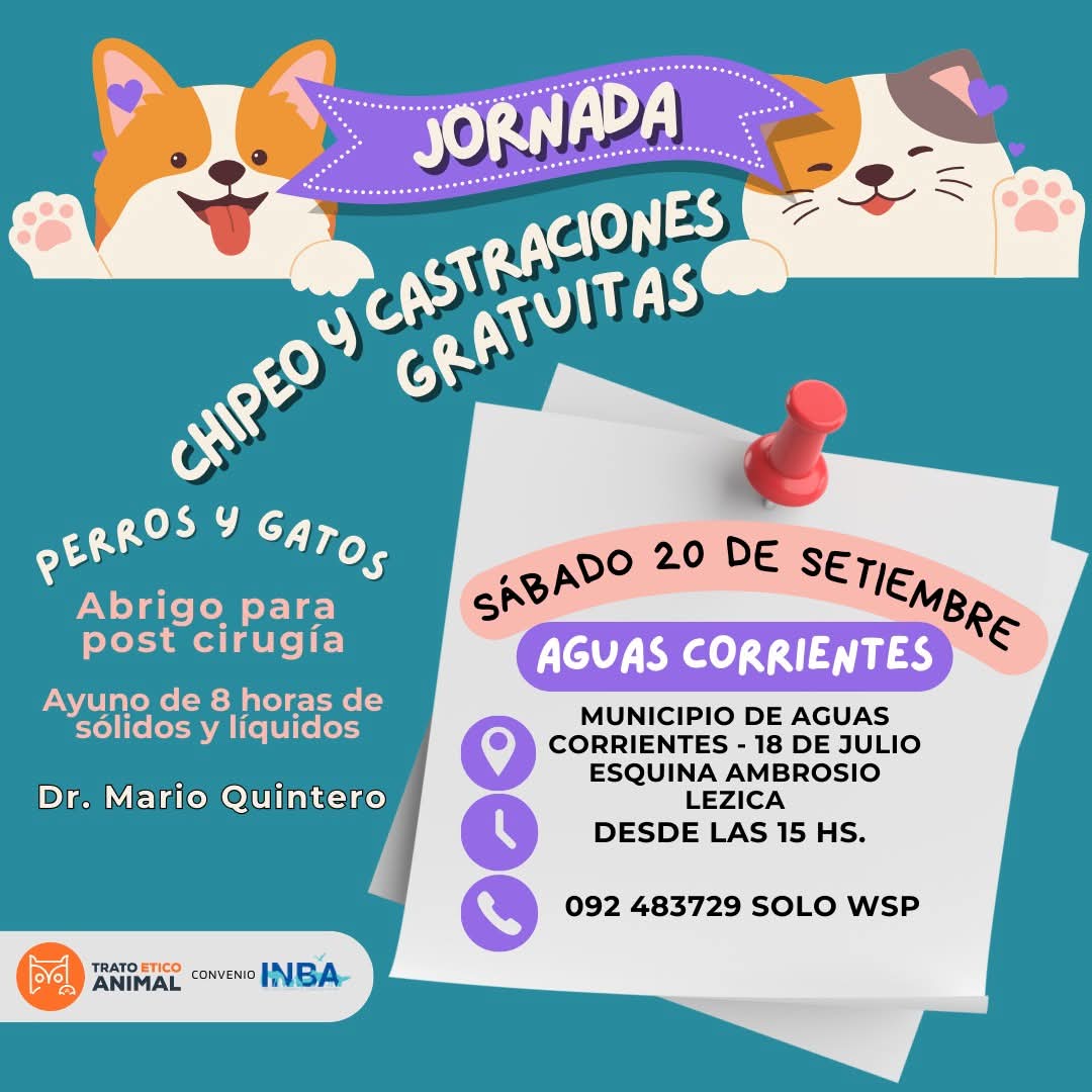 𝗖𝗮𝘀𝘁𝗿𝗮𝗰𝗶𝗼𝗻𝗲𝘀 𝗴𝗿𝗮𝘁𝘂𝗶𝘁𝗮𝘀 de ONG Trato Ético Animal convenio con INBA.  
      Sábado 20 de set.
      Perros y gatos 🐱🐶
☎️ Inscripciones al 092 483729  solo WhatsApp
     100 cupos en las dos jornadas.
      Vet. Mario Quintero
