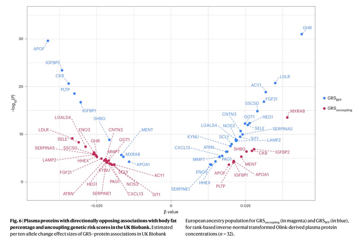 Partitioning obesity by genomics, proteomics and health outcomes from >450,000 <a href="/uk_biobank/">UK Biobank</a> participants <a href="/NatureMedicine/">Nature Medicine</a> 
—A protective subtype vs cardiometabolic diseases (GRS BFP) and
—A risk subtype for these diseases (GRS uncoupling)
GRS-genomic risk score