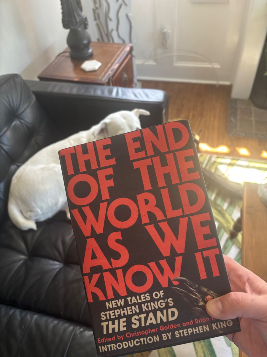This book is cool because it’s short stories based on the Stand, but written by dozens of other authors, and yet it’s awkwardly racist and sexually weird in exactly the same way that Stephen King’s classic writings are