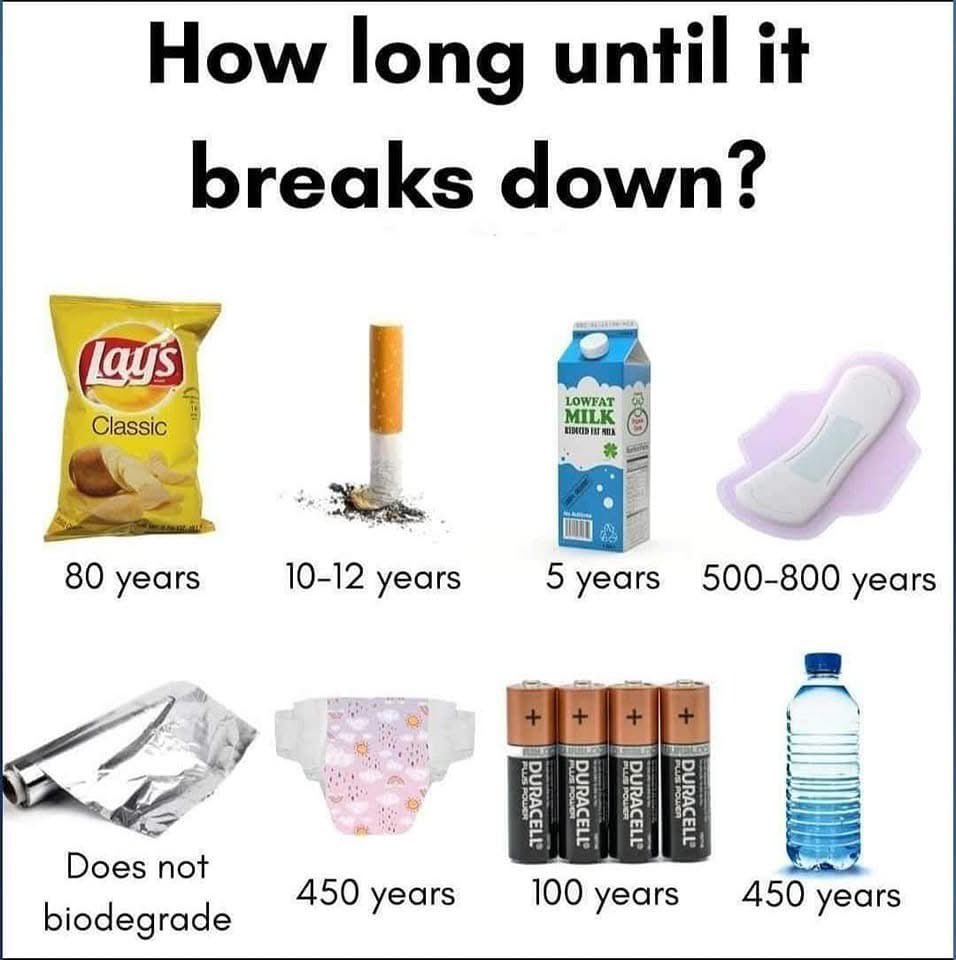 Reyousable tweet media