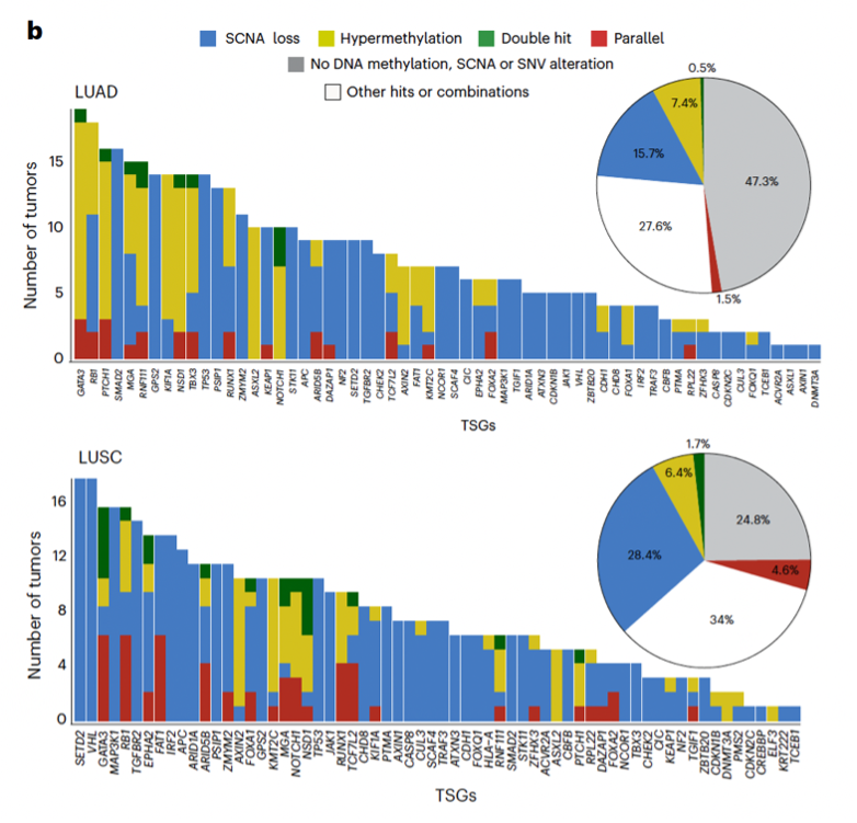 Charles Swanton tweet media